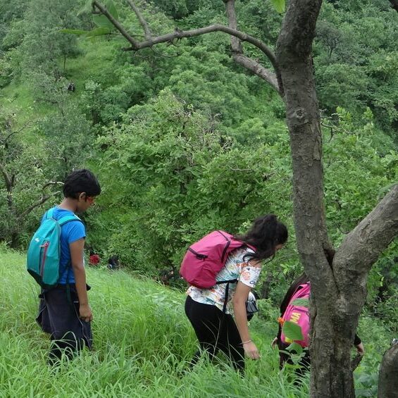 Activities Nature Camp & Forest Study Nature Camp Forest Study 1